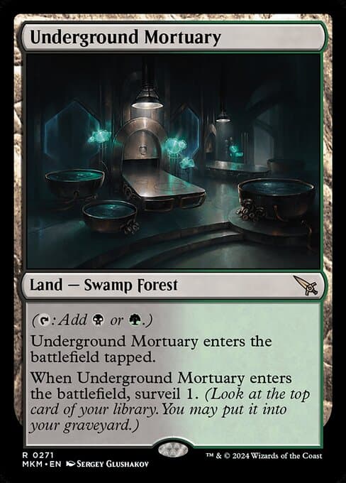 Underground Mortuary card art (mkm-271), Magic: The Gathering MKM