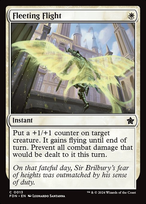 Fleeting Flight (fdn-13)