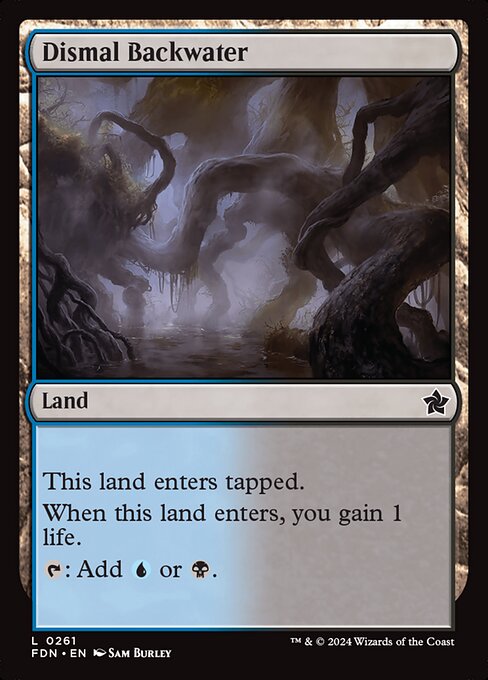 Dismal Backwater (fdn-261)