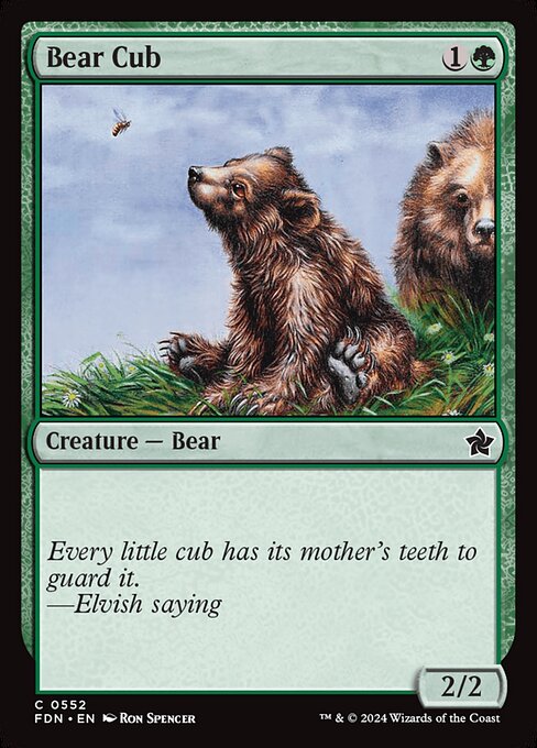 Bear Cub (fdn-552)