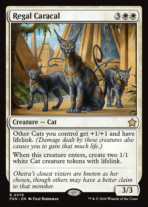 Regal Caracal (fdn-579)