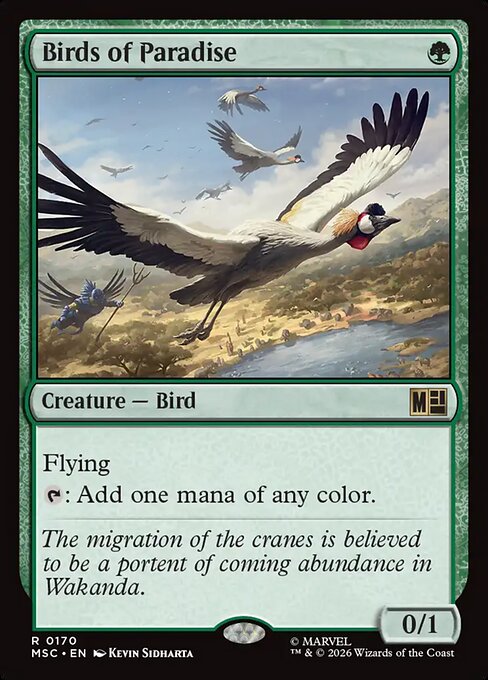 Birds of Paradise (msc-170)