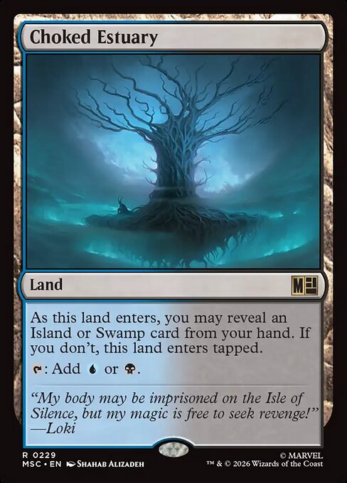 Choked Estuary (msc-229)