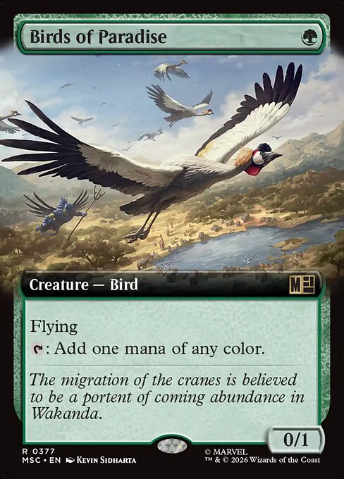 Birds of Paradise (msc-377)