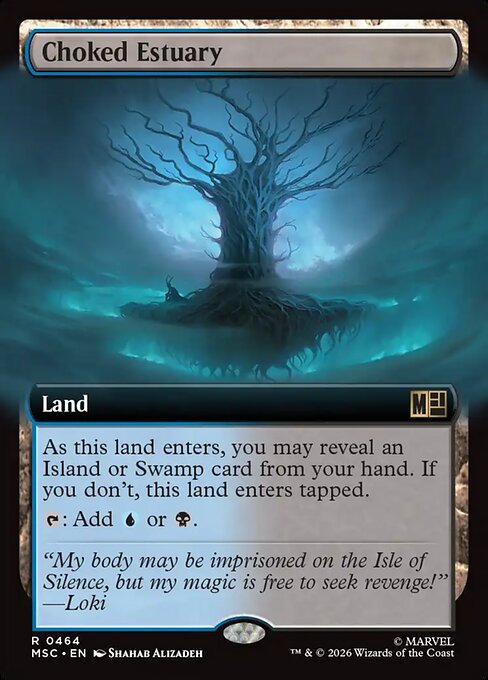 Choked Estuary (msc-464)