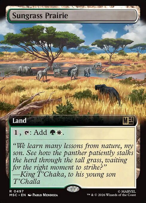 Sungrass Prairie (msc-497)