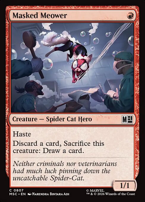 Masked Meower (msc-807)