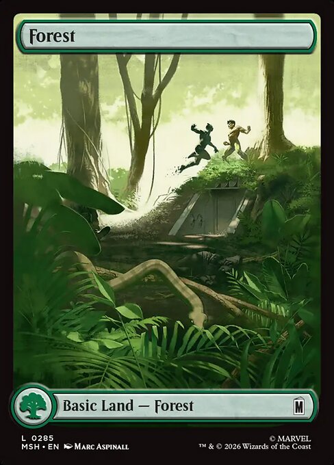 Forest (msh-285)
